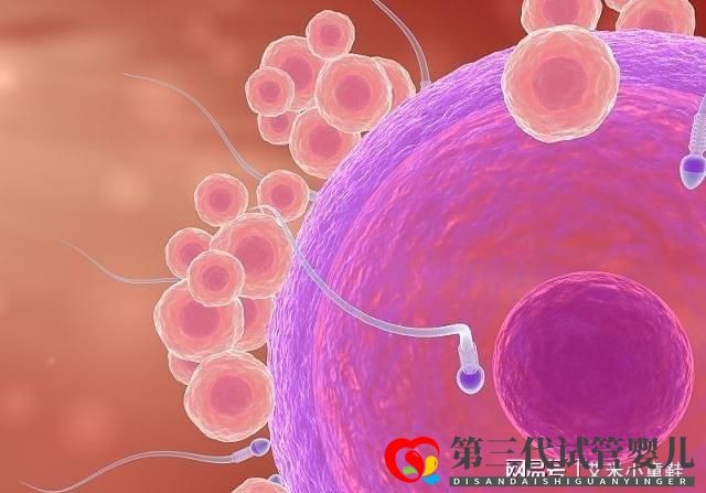 男方精子畸形率高做第三代试管婴儿成功生育小王子 男方精子畸形率高做第三代试管婴儿成功生育小王子