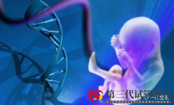 今天讲解一下三代试管的基因筛查(图2) 今天讲解一下三代试管的基因筛查(图2)