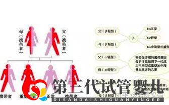 地中海贫血怎么办泰国第三代试管避免子代遗传!(图3) 地中海贫血怎么办泰国第三代试管避免子代遗传!(图3)