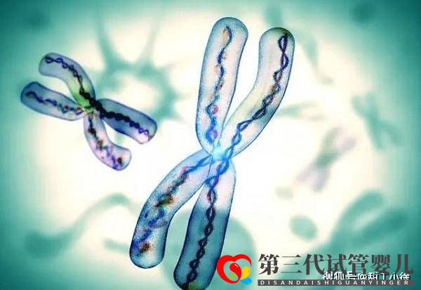 遗传病能做试管婴儿吗(图1) 遗传病能做试管婴儿吗(图1)