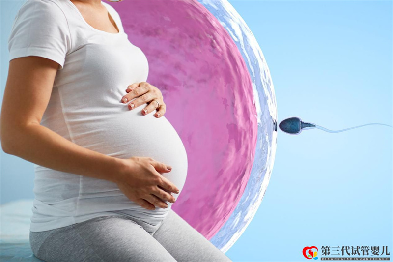 试管婴儿取卵后多久可以移植(图1) 试管婴儿取卵后多久可以移植(图1)