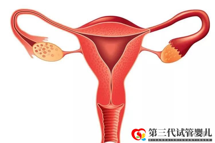 习惯性流产可以做供卵试管避免吗?流产后多久可以做试管婴儿?(图1) 习惯性流产可以做供卵试管避免吗?流产后多久可以做试管婴儿?(图1)