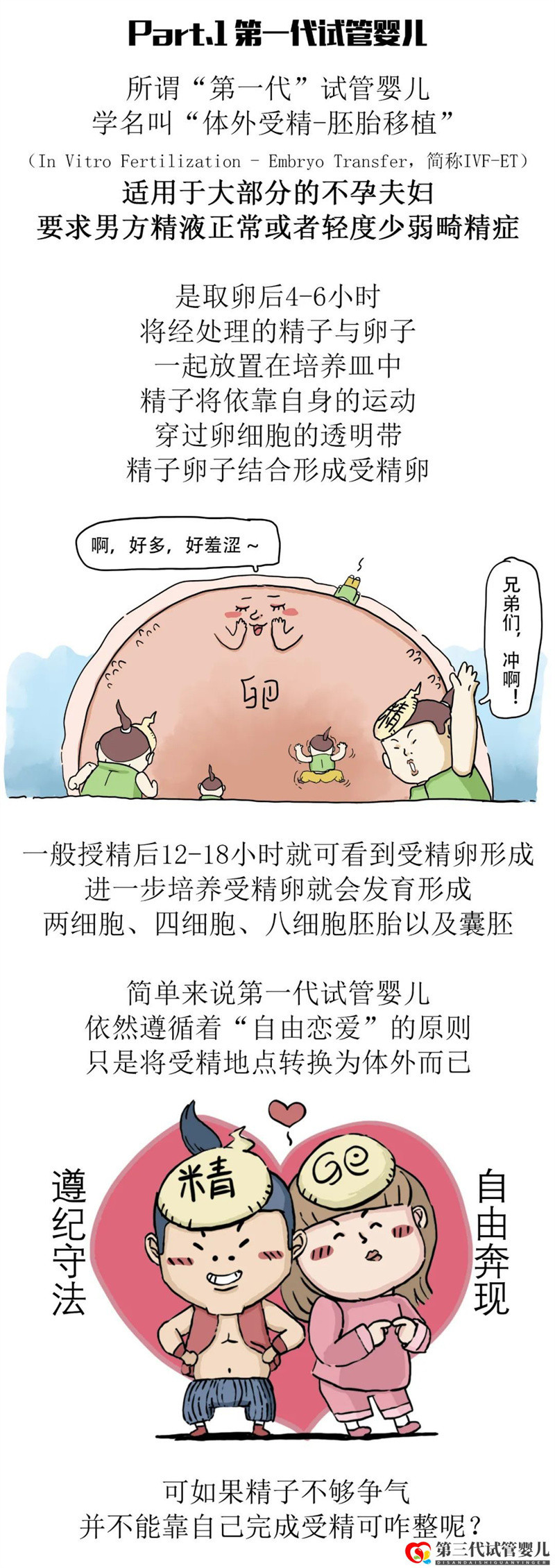 一代更比一代强三代试管强无敌(图4) 一代更比一代强三代试管强无敌(图4)