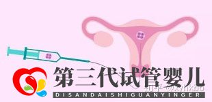 第三代试管最少要几个囊胚才算稳妥(图1) 第三代试管最少要几个囊胚才算稳妥(图1)
