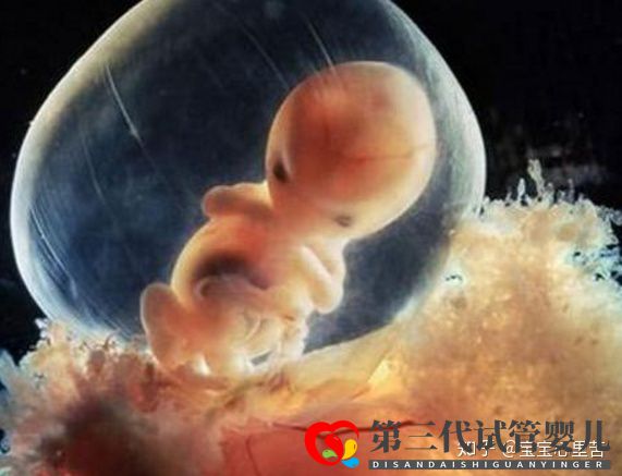 不孕夫妇独家大揭秘第三代试管婴儿多少钱(图2) 不孕夫妇独家大揭秘第三代试管婴儿多少钱(图2)