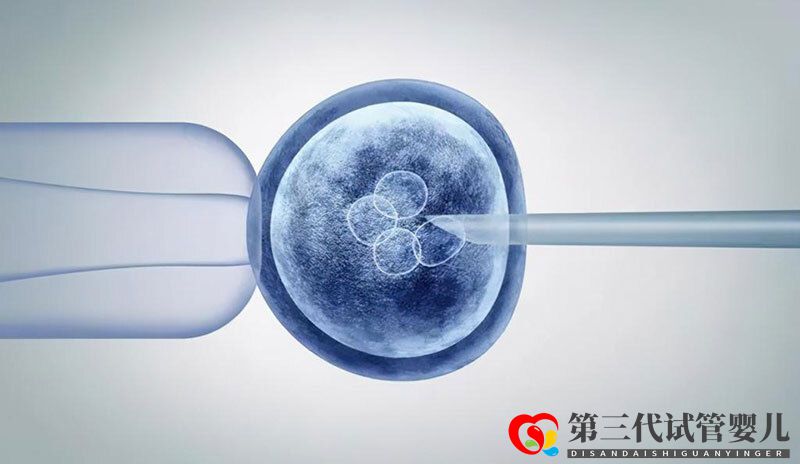 泰国第三代试管婴儿如何避免胎儿畸形(图2) 泰国第三代试管婴儿如何避免胎儿畸形(图2)