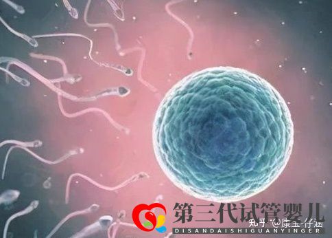 通俗易懂的一、二、三代试管婴儿解说(图1) 通俗易懂的一、二、三代试管婴儿解说(图1)