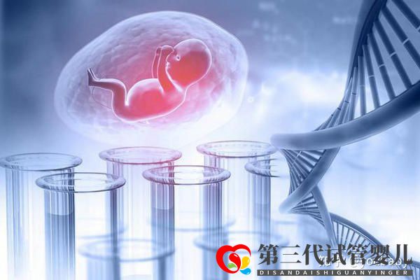 第三代试管婴儿可以筛查哪些遗传病本文就来告诉你(图1) 第三代试管婴儿可以筛查哪些遗传病本文就来告诉你(图1)