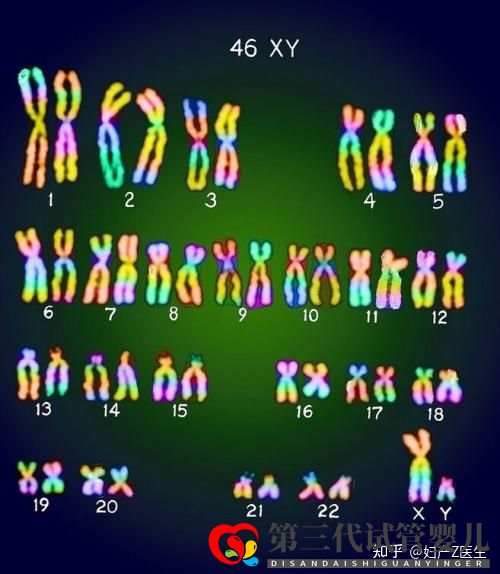 全国试管前百名医院2021年全国三代试管婴儿资质医...(图3) 全国试管前百名医院2021年全国三代试管婴儿资质医...(图3)