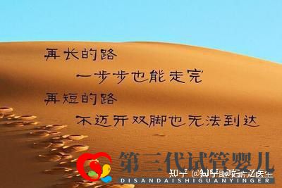 全国试管前百名医院2021年全国三代试管婴儿资质医...(图9) 全国试管前百名医院2021年全国三代试管婴儿资质医...(图9)