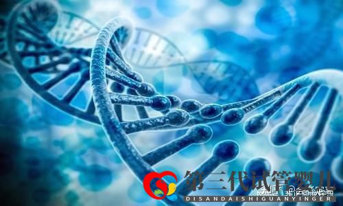 国内助孕公司可以选性别包成功吗(图2) 国内助孕公司可以选性别包成功吗(图2)