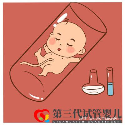 国内第三代试管婴儿多少钱国内私人试管机构(图3) 国内第三代试管婴儿多少钱国内私人试管机构(图3)