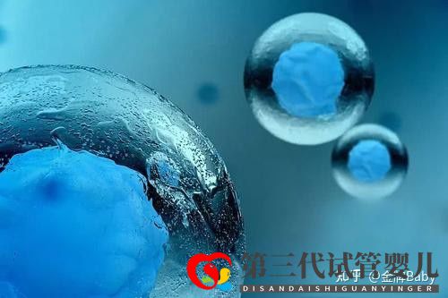 三代试管私立医院有哪些比较靠谱的(图1) 三代试管私立医院有哪些比较靠谱的(图1)