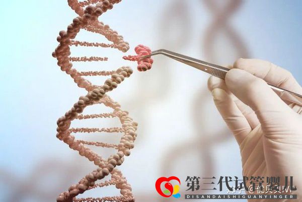 国内排名靠前的三代试管医院都有哪些第一梯队了解下(图5) 国内排名靠前的三代试管医院都有哪些第一梯队了解下(图5)