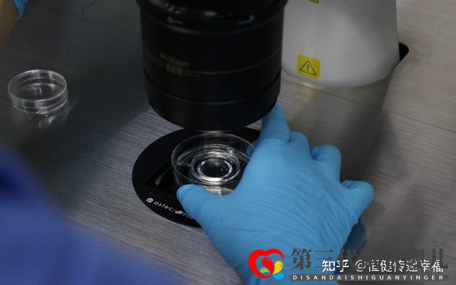 三代试管费用大全(图1) 三代试管费用大全(图1)