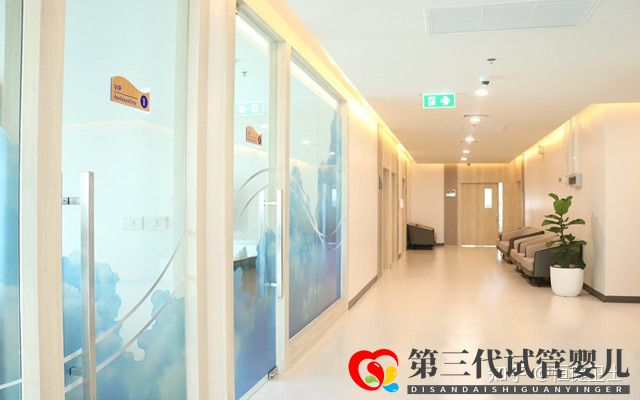 三代试管婴儿怎么收费的附价目表(图4) 三代试管婴儿怎么收费的附价目表(图4)