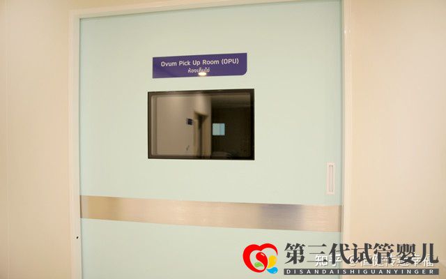 三代试管婴儿费用明细清单!(图1) 三代试管婴儿费用明细清单!(图1)