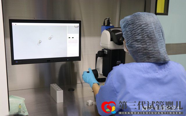 第三代试管婴儿成功率及其费用详解2022(图1) 第三代试管婴儿成功率及其费用详解2022(图1)