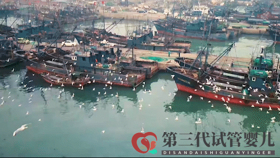 跟着王丽坤去打卡!日照这些地方火遍全国了!你去过哪个?(图3) 跟着王丽坤去打卡!日照这些地方火遍全国了!你去过哪个?(图3)