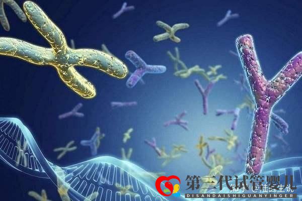 发生过胚胎染色体异常还能要宝宝吗(图1) 发生过胚胎染色体异常还能要宝宝吗(图1)