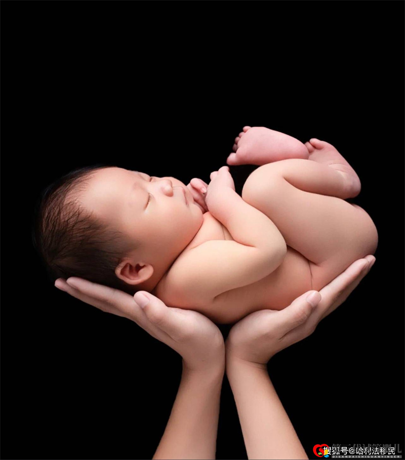 【生殖科普】夫妻染色体正常,为什么胚胎染色体异常?(图1) 【生殖科普】夫妻染色体正常,为什么胚胎染色体异常?(图1)