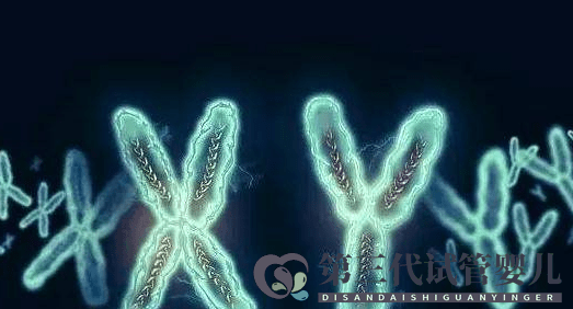 MDS有染色体异常是不是很难治?(图1) MDS有染色体异常是不是很难治?(图1)