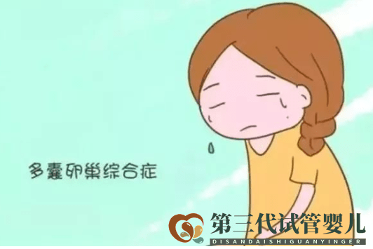 多囊卵巢综合症能自愈?可以控制,做试管成功率高吗(图1) 多囊卵巢综合症能自愈?可以控制,做试管成功率高吗(图1)