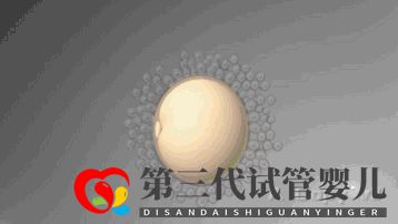 第三代试管婴儿真的最好最先进吗国内哪里可以做(图1) 第三代试管婴儿真的最好最先进吗国内哪里可以做(图1)