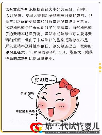 卵泡大小和试管成功率有关系吗?大卵泡是不是越多越好?(图3) 卵泡大小和试管成功率有关系吗?大卵泡是不是越多越好?(图3)