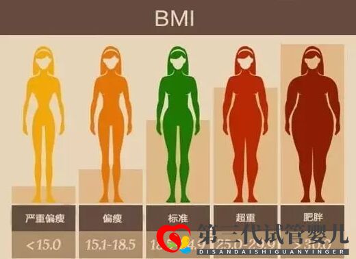 体形过瘦会影响试管成功率吗(图3) 体形过瘦会影响试管成功率吗(图3)