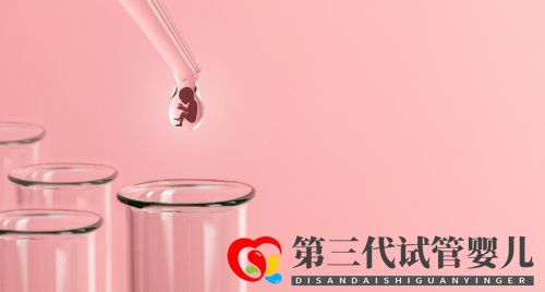 基础卵泡会影响试管的成功率吗(图2) 基础卵泡会影响试管的成功率吗(图2)