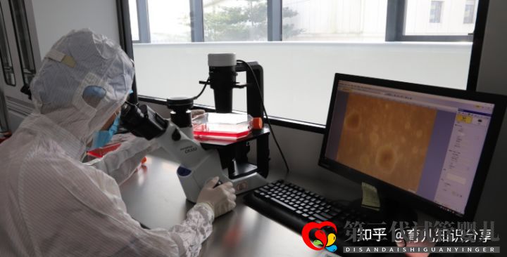 解析国内做试管第三代大概需要多少钱(图2) 解析国内做试管第三代大概需要多少钱(图2)