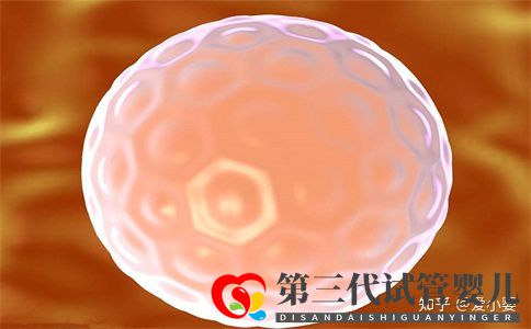 三代试管一个周期是什么意思(图1) 三代试管一个周期是什么意思(图1)