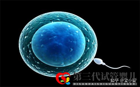三代试管一个周期是什么意思(图3) 三代试管一个周期是什么意思(图3)