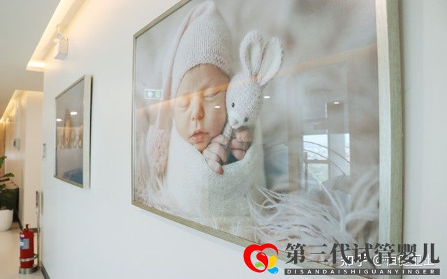 做三代试管大约多少钱一次(图2) 做三代试管大约多少钱一次(图2)