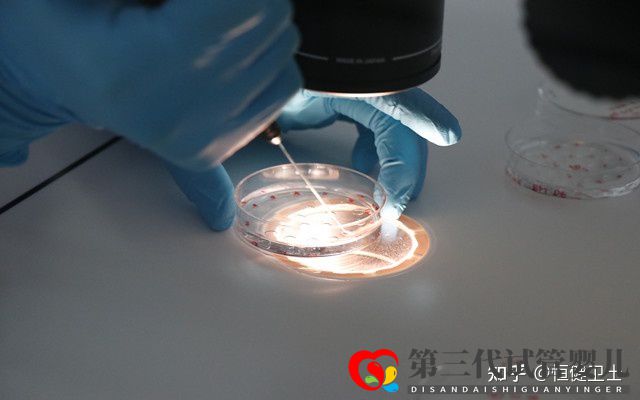 做三代试管大约多少钱一次(图3) 做三代试管大约多少钱一次(图3)