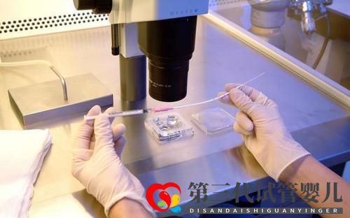 做试管婴儿复杂吗?过程是怎样的?(图2) 做试管婴儿复杂吗?过程是怎样的?(图2)