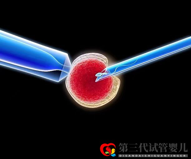 高龄女性在做三代试管时,取多少个卵子合适?(图1) 高龄女性在做三代试管时,取多少个卵子合适?(图1)