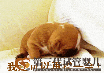 试管三代的费用是多少(三代试管费用明细)(图1) 试管三代的费用是多少(三代试管费用明细)(图1)