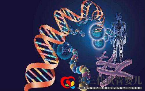 夫妻染色体正常,为什么胚胎还会出现染色体异常?(图2) 夫妻染色体正常,为什么胚胎还会出现染色体异常?(图2)