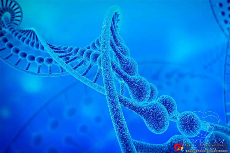 染色体异常能做试管婴儿吗?试管婴儿要查染色体吗?(图1) 染色体异常能做试管婴儿吗?试管婴儿要查染色体吗?(图1)