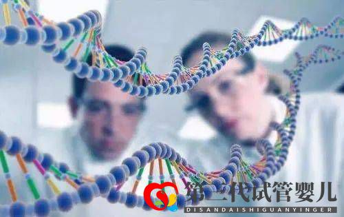 反复流产检查什么?染色体平衡易位怎么办?(图2) 反复流产检查什么?染色体平衡易位怎么办?(图2)