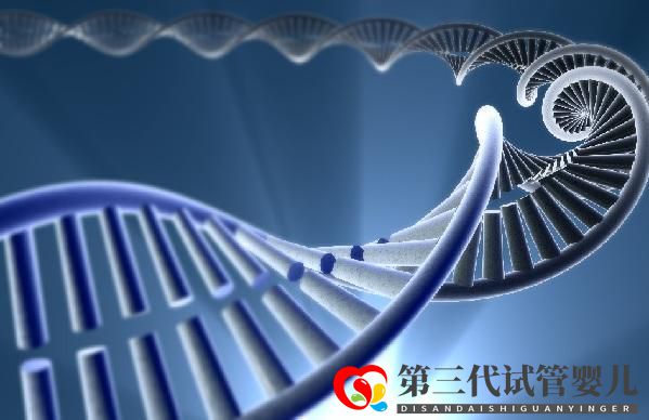 第三代试管婴儿与PGDPGS基因筛查技术(图2) 第三代试管婴儿与PGDPGS基因筛查技术(图2)