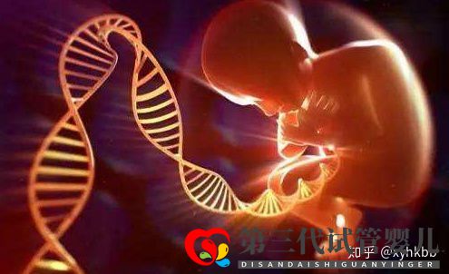 国内第三代试管婴儿可以选择性别吗心悦告诉你(图3) 国内第三代试管婴儿可以选择性别吗心悦告诉你(图3)