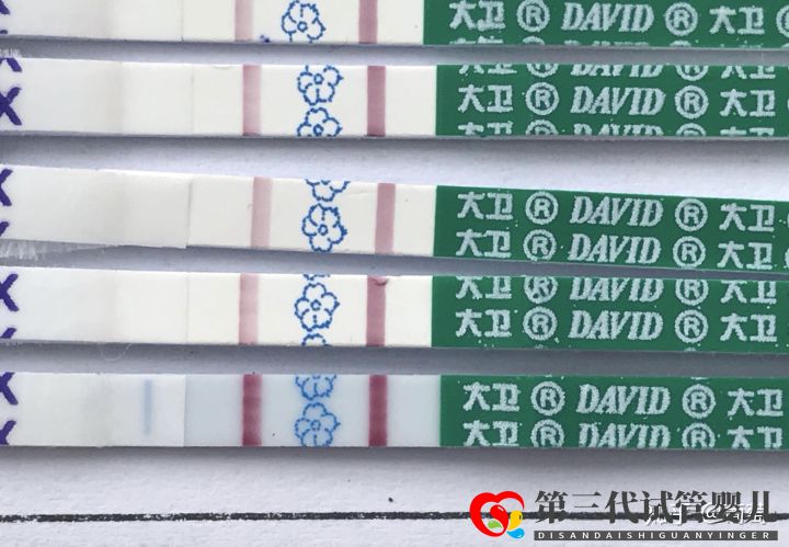 三代试管可以选性别吗(图2) 三代试管可以选性别吗(图2)