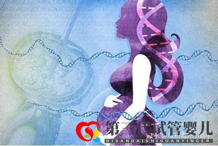 试管婴儿生男生女的概率由什么决定(图1) 试管婴儿生男生女的概率由什么决定(图1)