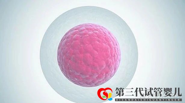 泰国做第三试管女性受罪吗(图2) 泰国做第三试管女性受罪吗(图2)