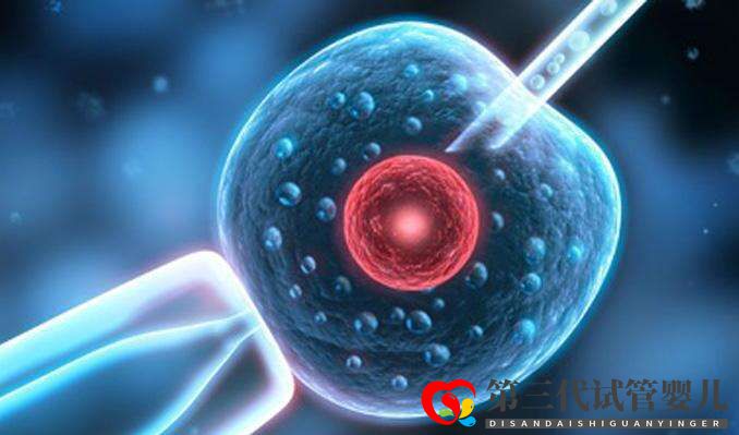 试管婴儿取卵前后6大注意事项你知道多少?(图1) 试管婴儿取卵前后6大注意事项你知道多少?(图1)