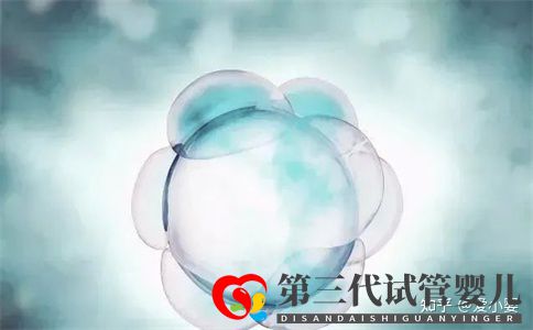 三代试管取卵后要多少天才可以进行移植(图1) 三代试管取卵后要多少天才可以进行移植(图1)