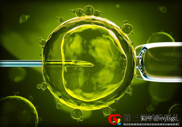 第三代试管婴儿取卵后多久移植(图1) 第三代试管婴儿取卵后多久移植(图1)